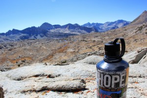 武豊今週の新馬9月19日と21日にデビューの2頭を紹介