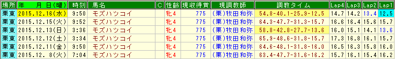 モズハツコイ調教