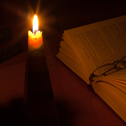 武豊今週の騎乗馬【1月23・24日分】確定版