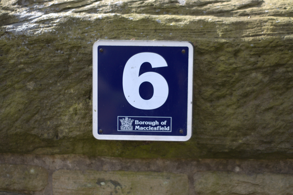 武豊6月の予定！騎乗する競馬場や騎乗馬など【大きなレースから平場まで】