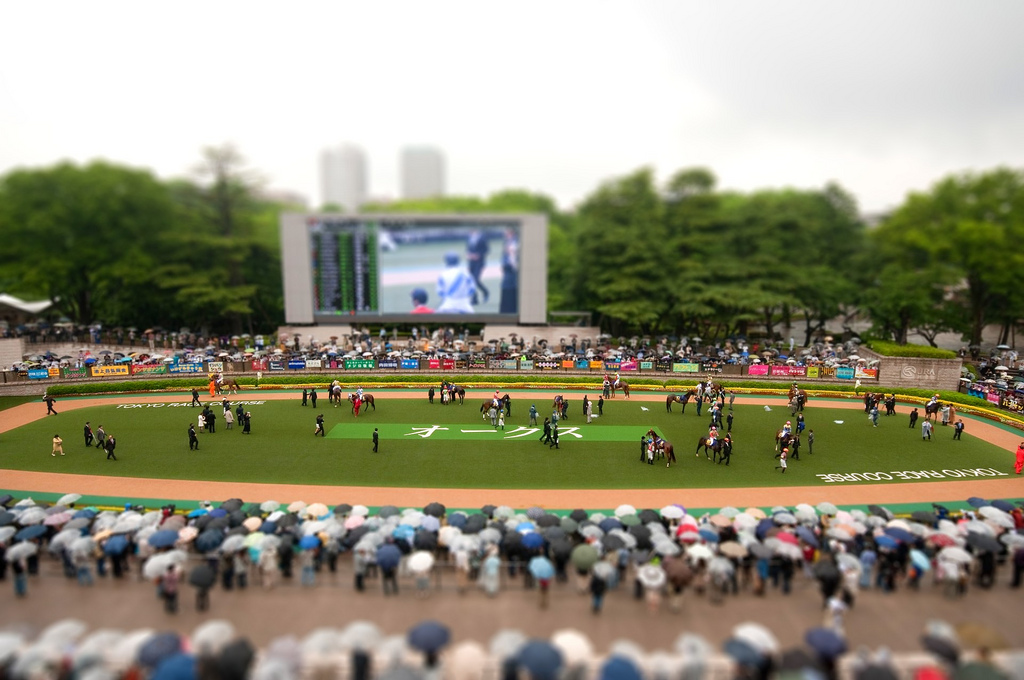 武豊今週の想定【5月23・24日分】