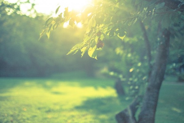 武豊騎手の今週末の騎乗馬（９月６と７日）確定編。