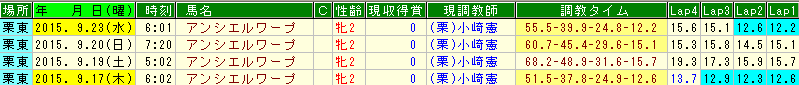 アンシエルワープ調教 (1)