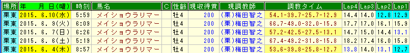 メイショウラリマー調教