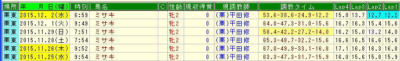 ミサキ調教