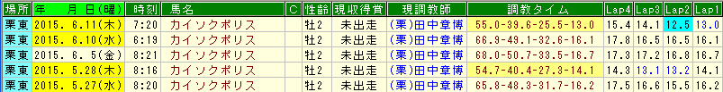 カイソクポリス調教