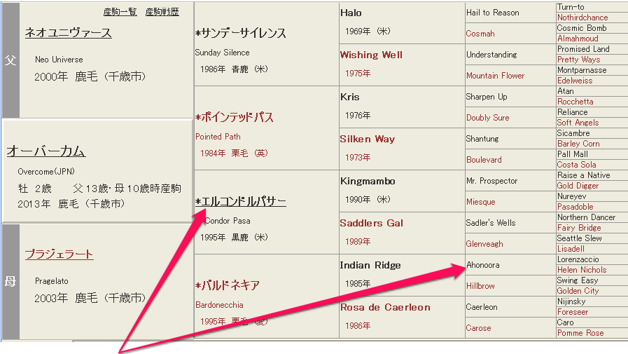オーバーカム血統1