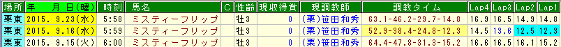 ミスティーフリップ調教