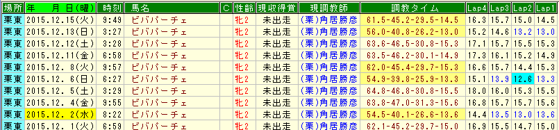 ビバパーチェ調教