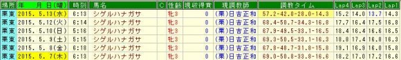 シゲルハナガサ調教