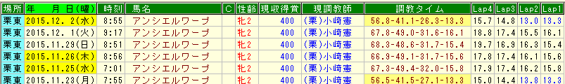 アンシエルワープ調教 (3)