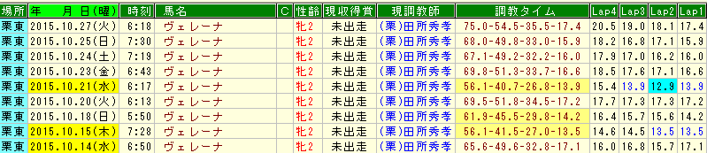 ヴェレーナ調教