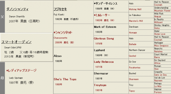 スマートオーディン血統