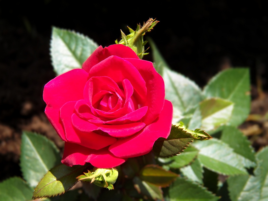 9350081309_e98fdaf821_b