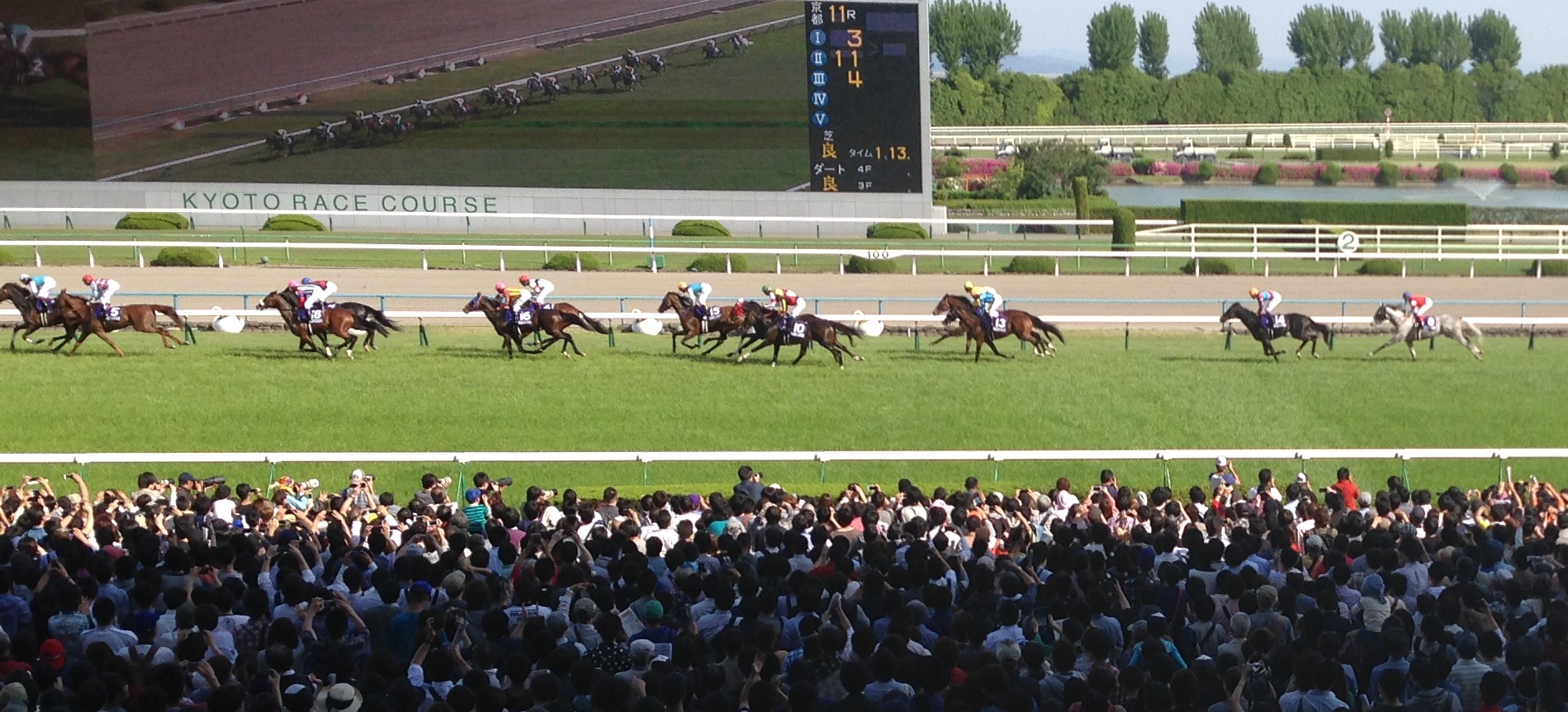 チームキズナマジック解放！一年間の試練の軌跡を分析【ゲスト投稿】