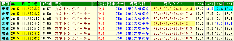 カネトシビバーチェ調教 (3)