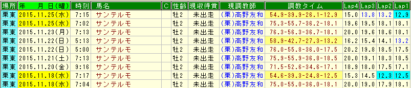 サンテルモ調教