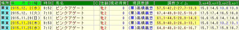 ピンクアゲート調教 (1)