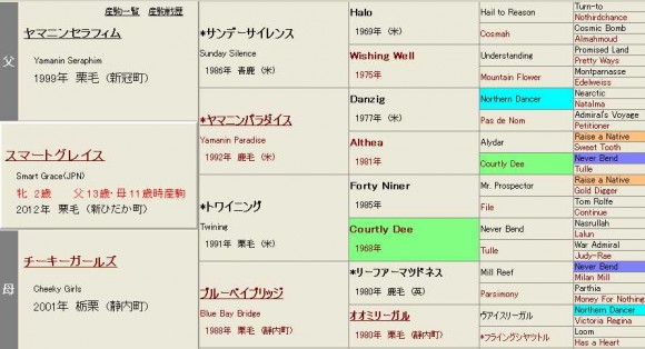 スマートグレイス血統