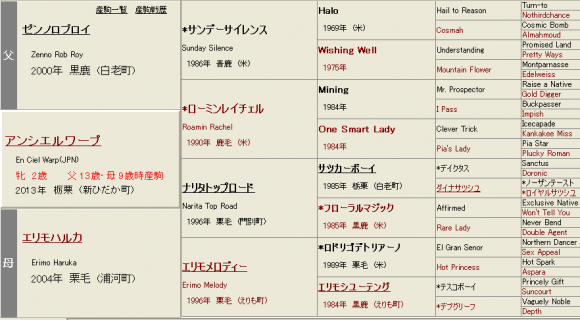 アンシェルワープの血統
