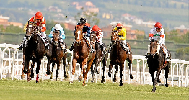 武豊騎乗馬の想定【１２月２７・２８日分】有馬記念がやってくる！