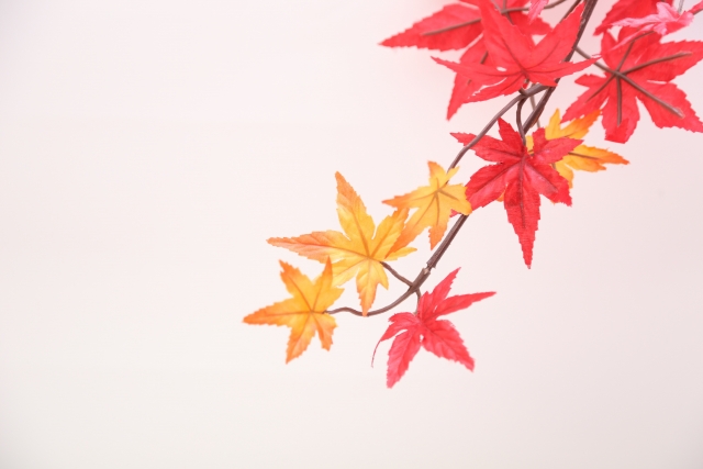 武豊騎乗予定・想定９月１３・１４日分【木曜日の確定版】