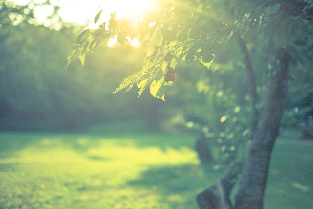 武豊騎手の今週末の騎乗馬（９月６と７日）確定編。