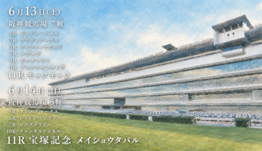 【最新】武豊6月13日・14日騎乗馬確定版【宝塚記念】