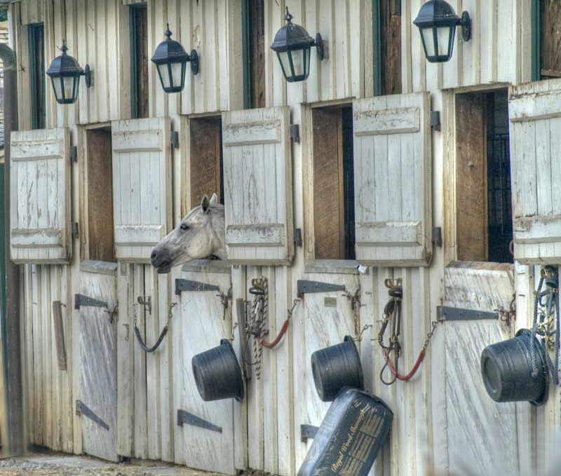 武豊と角居厩舎の話【２歳馬一覧】など色々